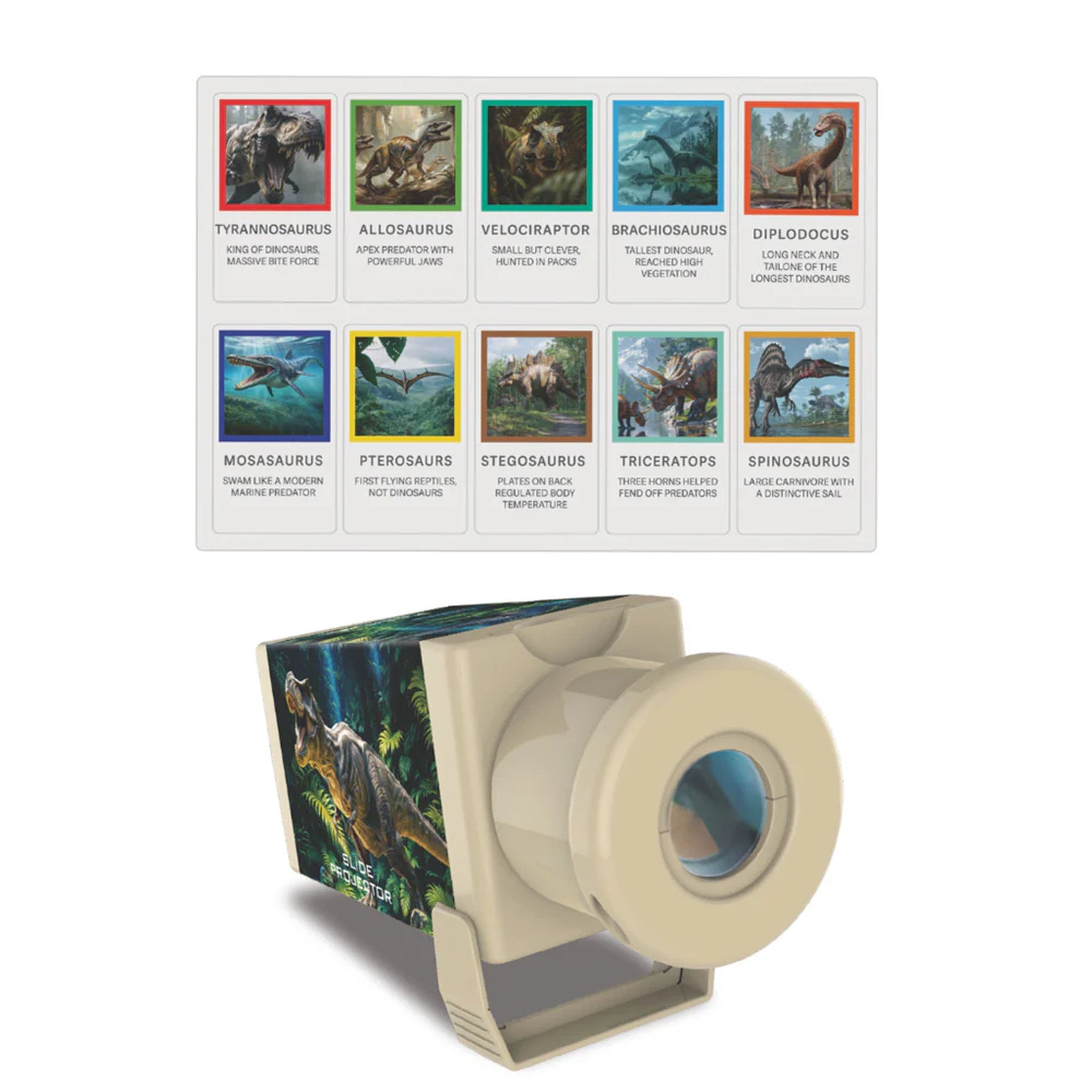 4M Dinosaur Slide Projector