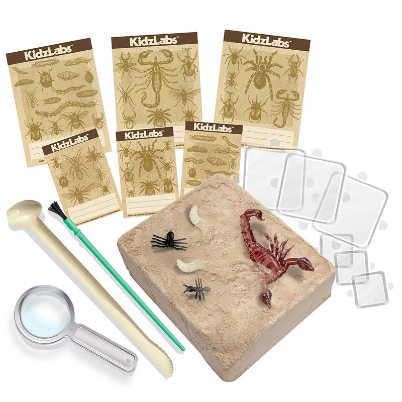 4M KidzLabs Creepy Crawly Digging Kit