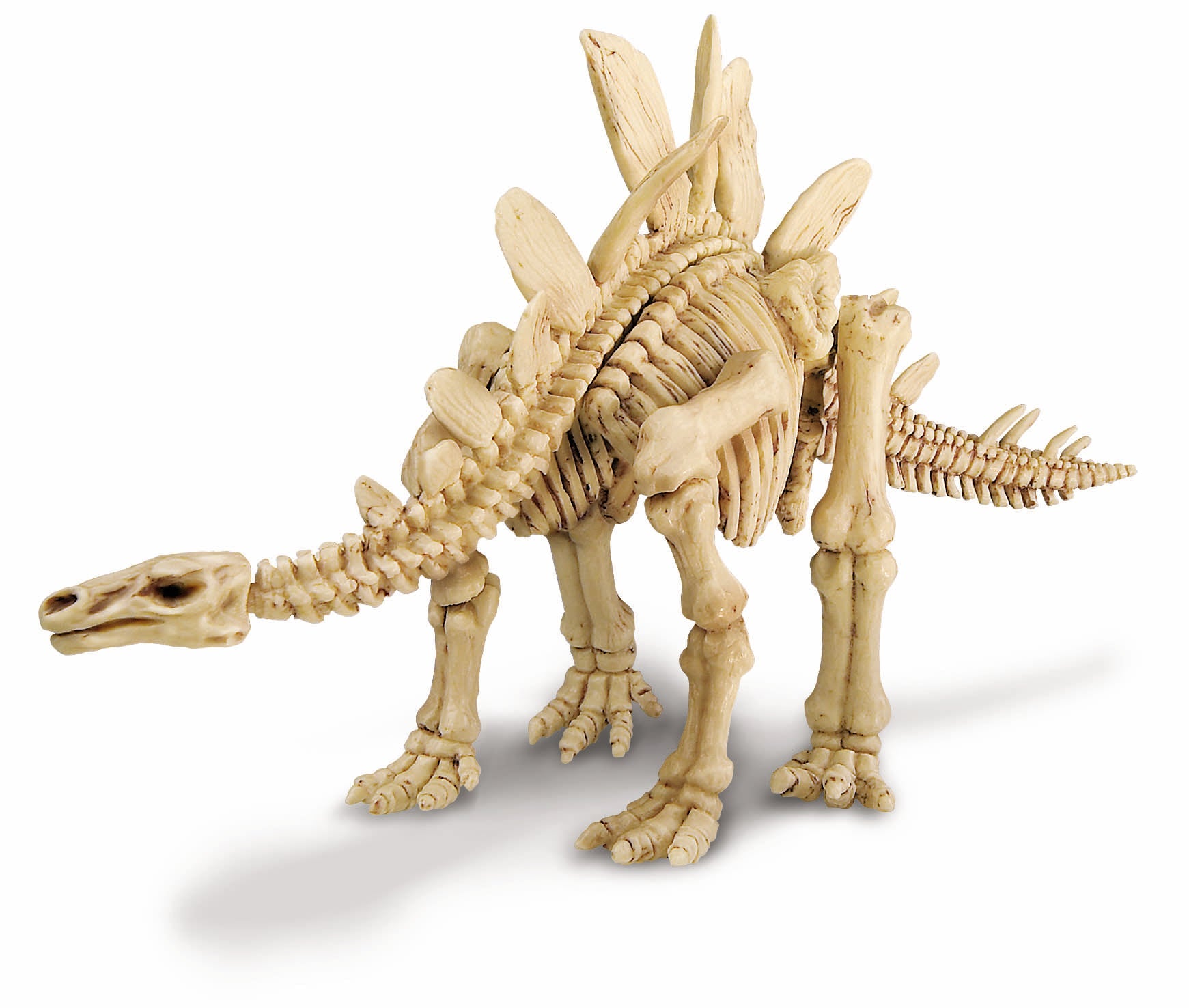 4M KidzLabs Dinosaur Excavation Kit Stegosaurus - Toyworld Australia