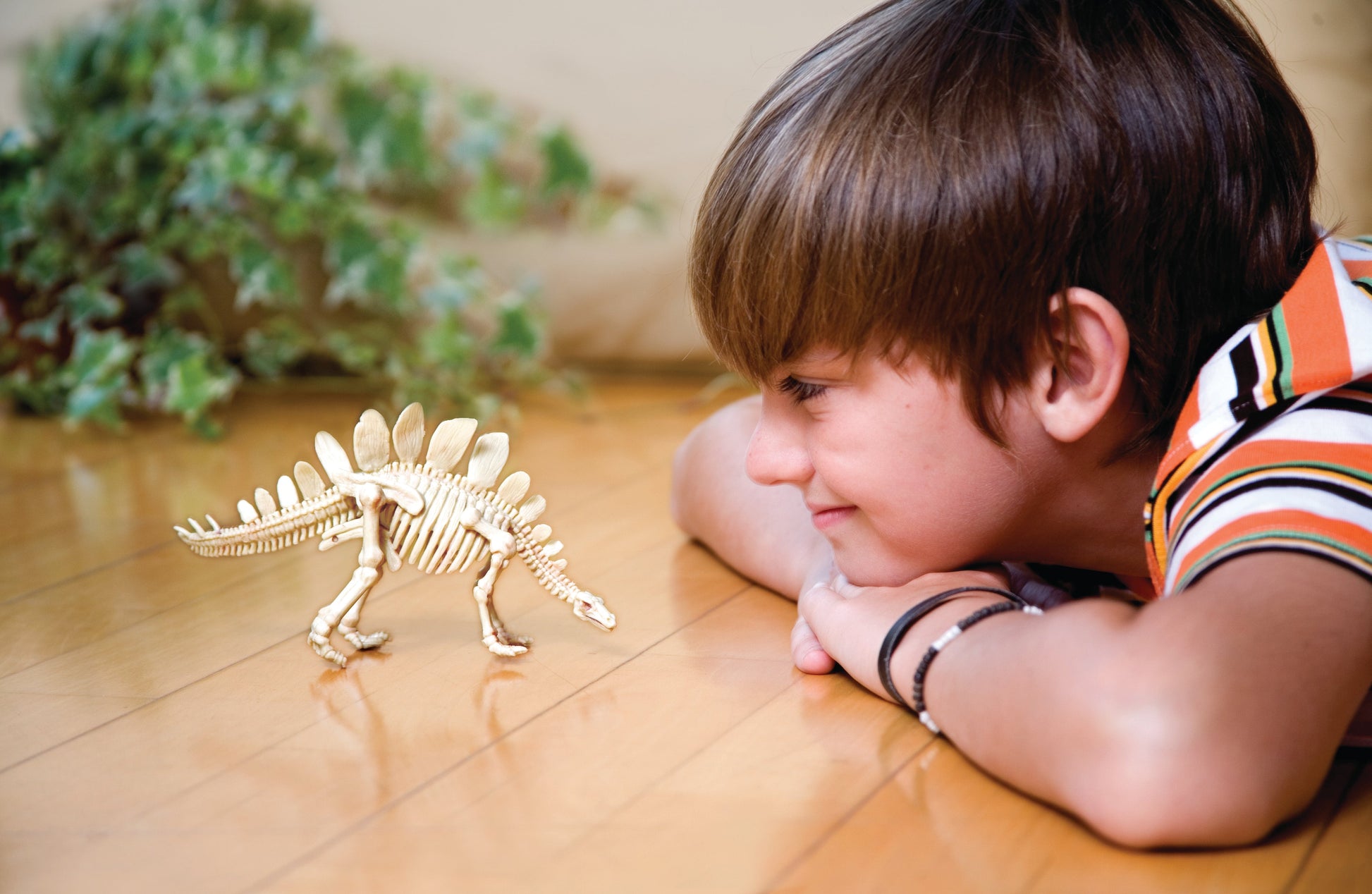 4M KidzLabs Dinosaur Excavation Kit Stegosaurus - Toyworld Australia