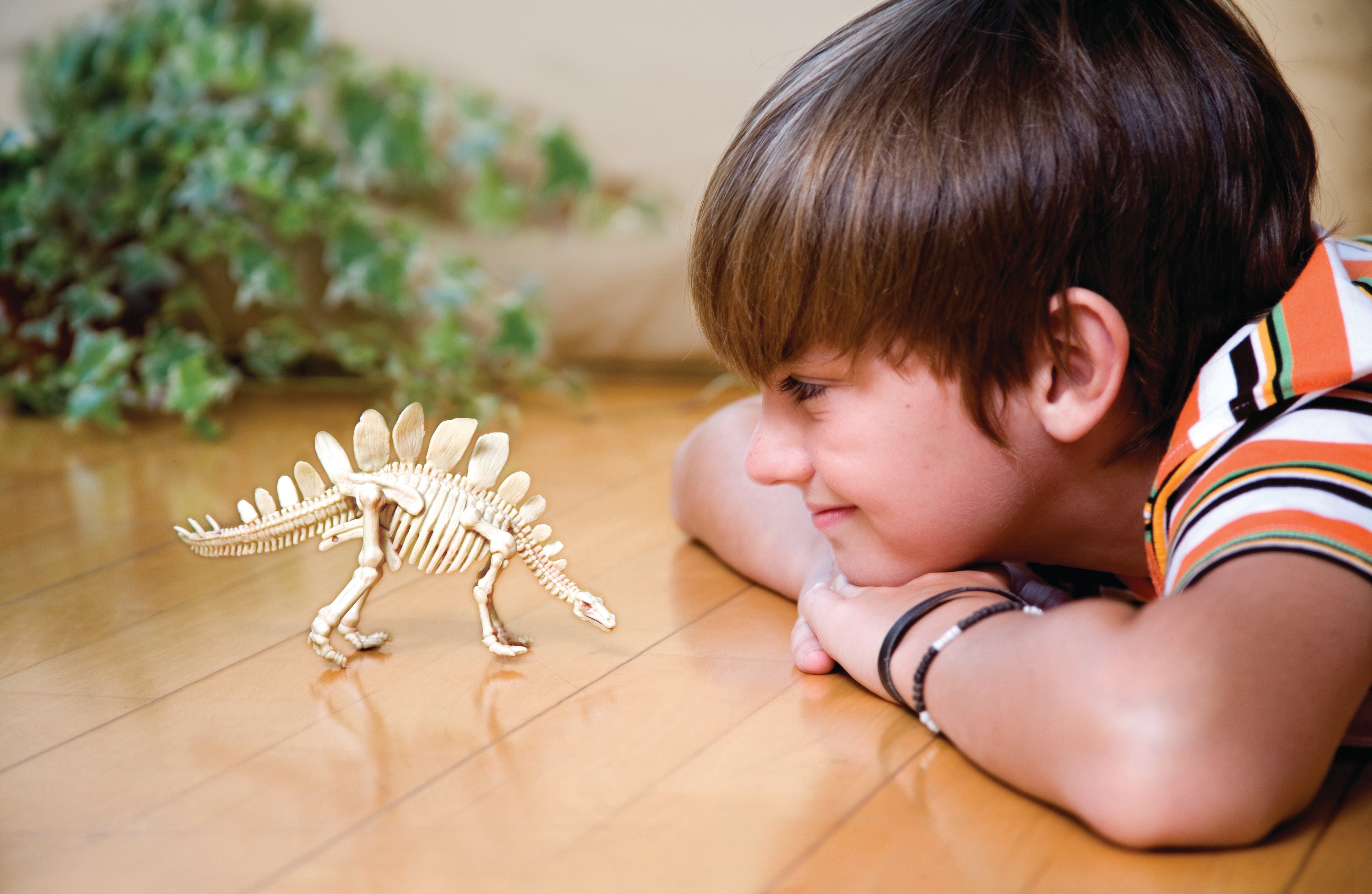 4M KidzLabs Dinosaur Excavation Kit Stegosaurus - Toyworld Australia
