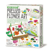 4M Green Science Pressed Flower Art - Toyworld Australia