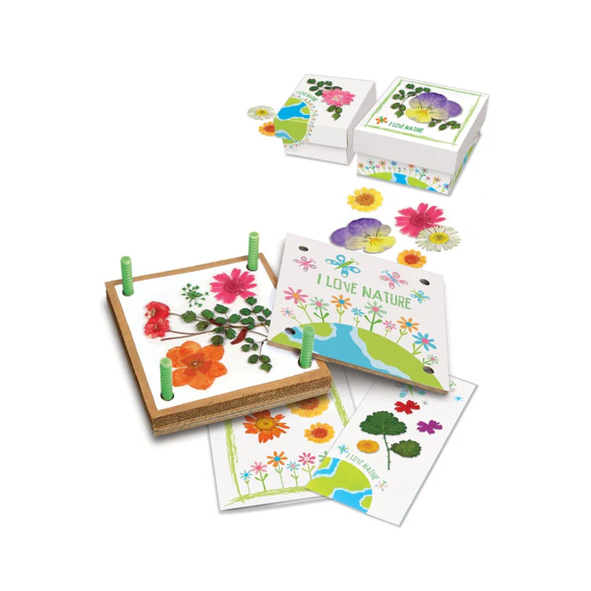 4M Green Science Pressed Flower Art - Toyworld Australia