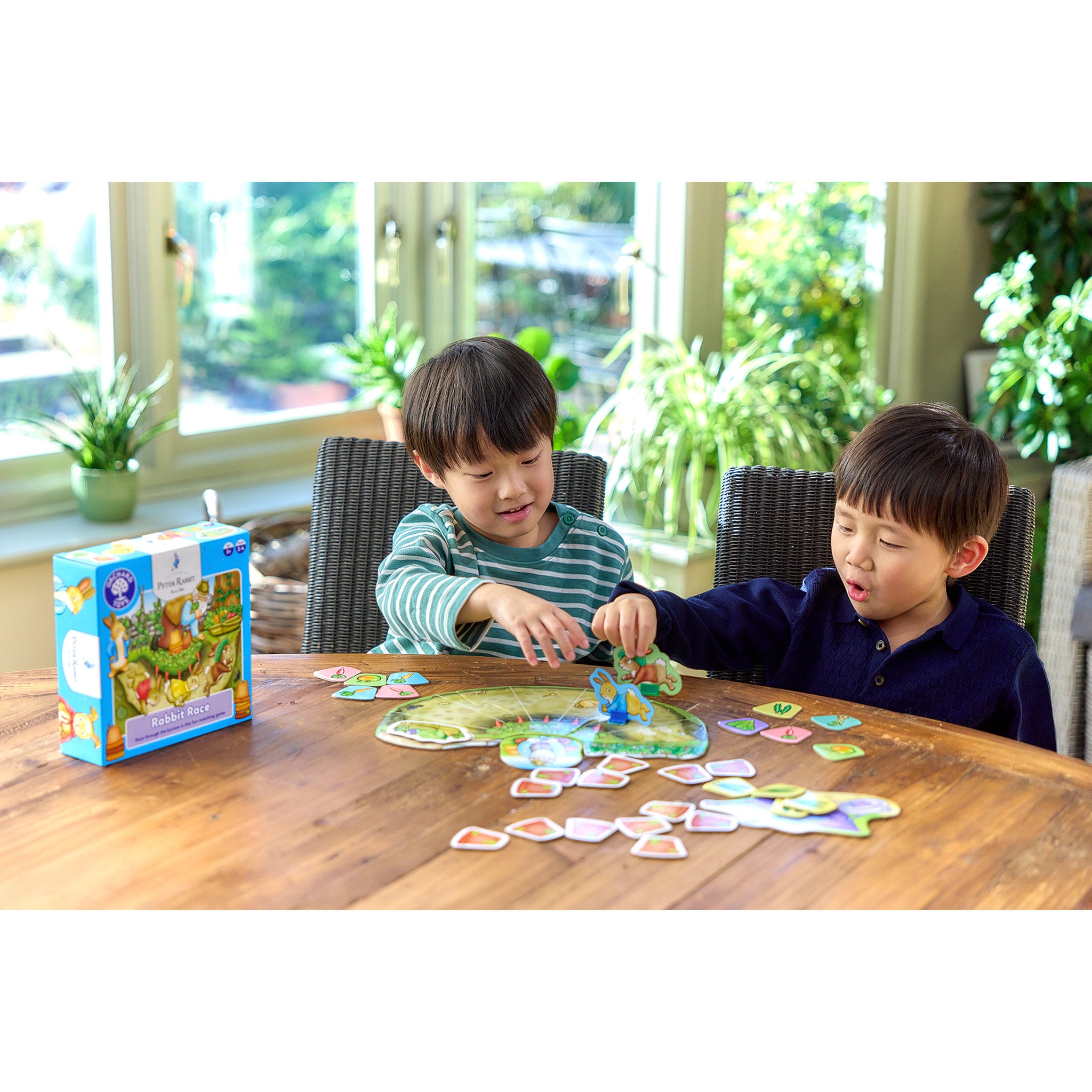 Orchard Toys Peter Rabbit - Rabbit Race Game