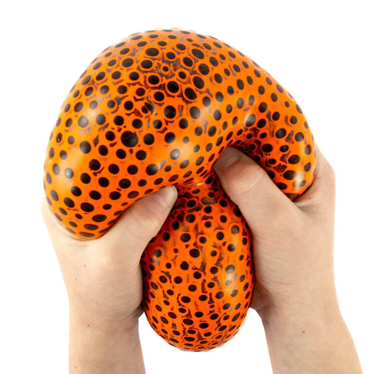Beadz Alive Giant Ball Assorted Styles