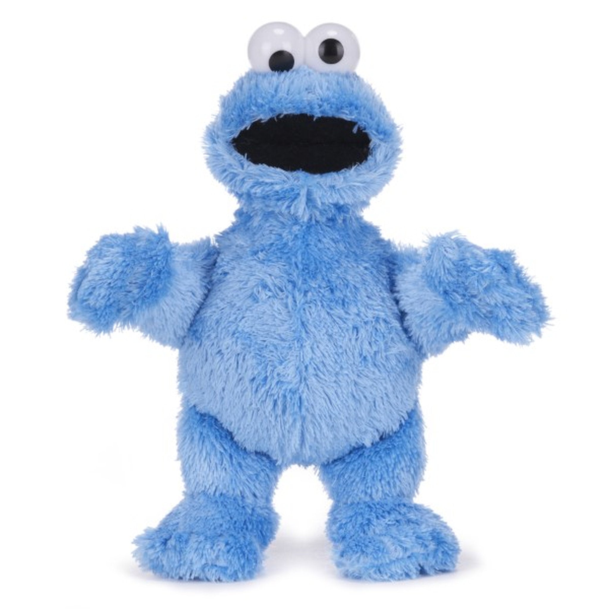 Sesame Street 30cm Plush - Cookie Monster