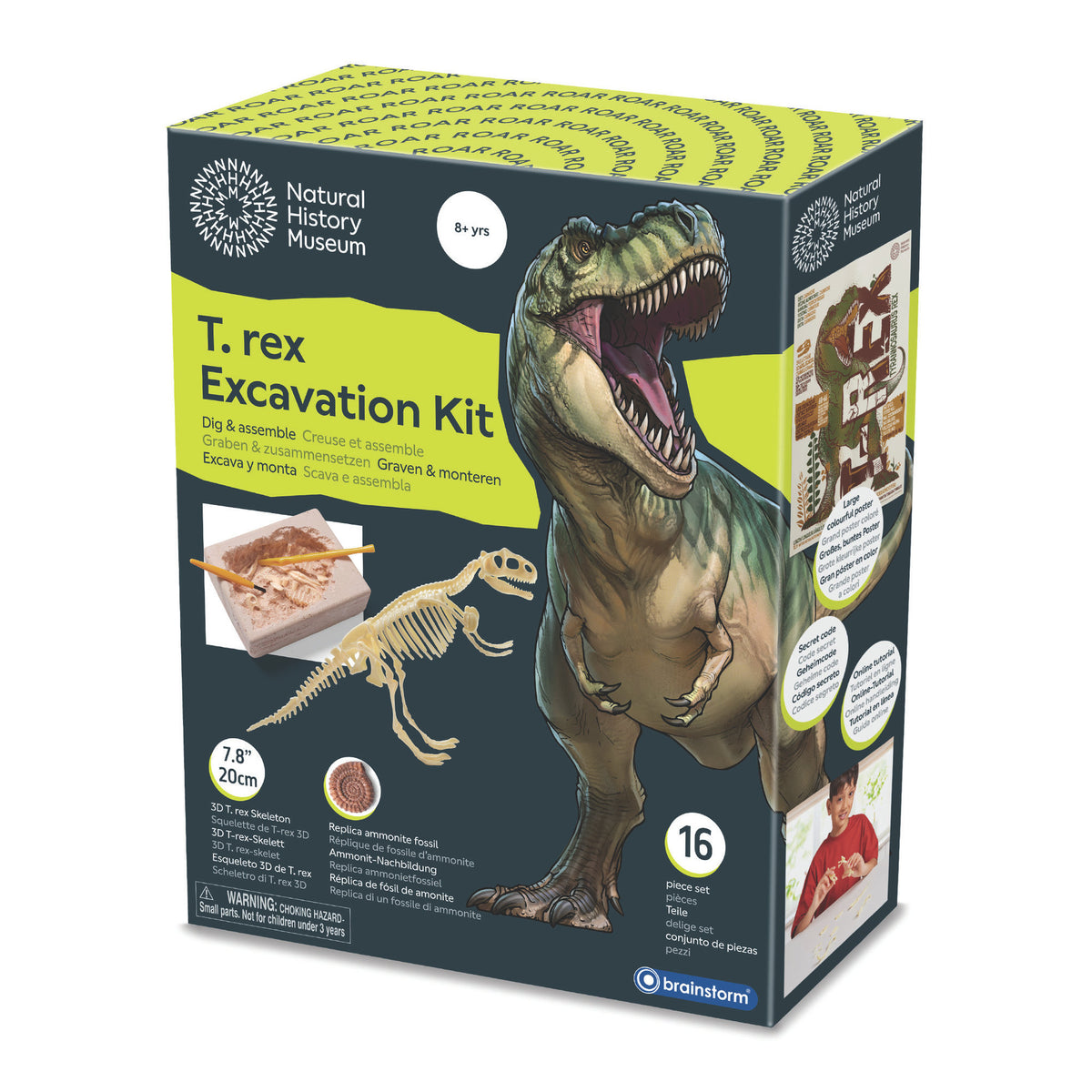 Brainstorm Toys - T-Rex Excavation Kit