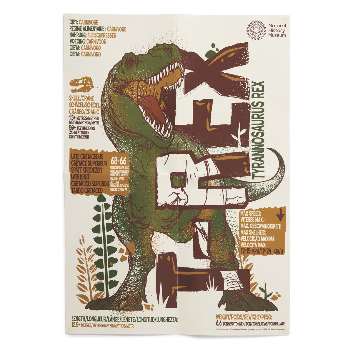 Brainstorm Toys - T-Rex Excavation Kit