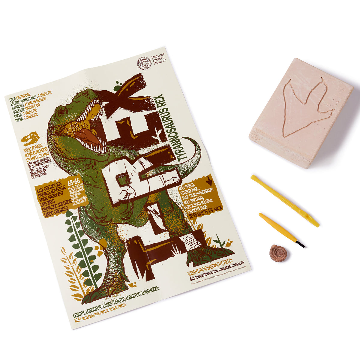 Brainstorm Toys - T-Rex Excavation Kit