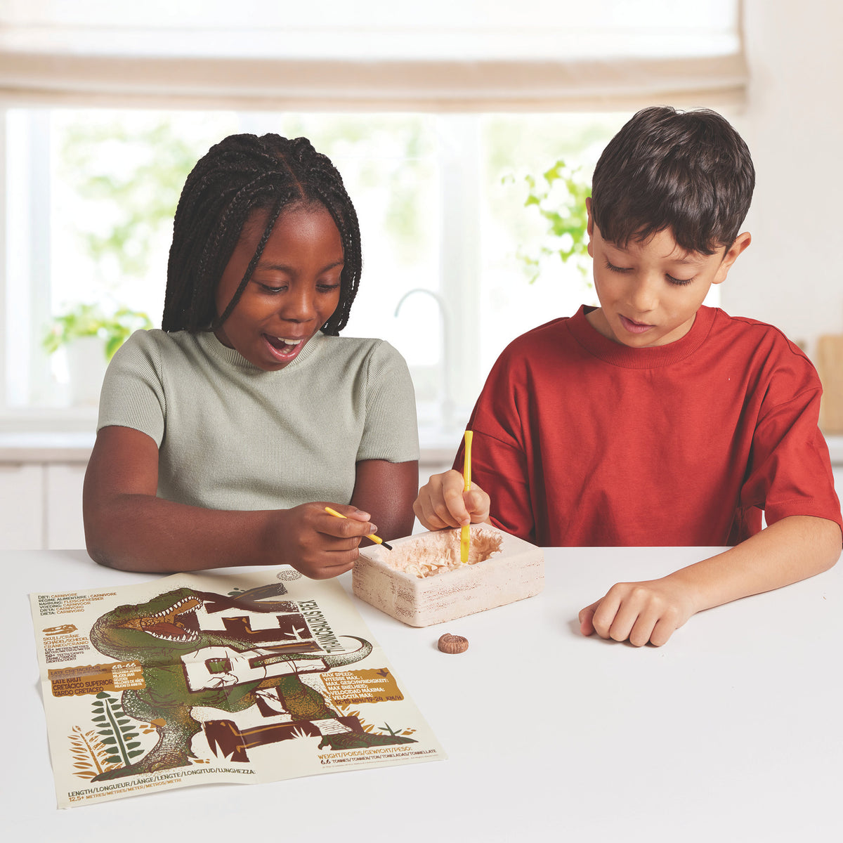 Brainstorm Toys - T-Rex Excavation Kit