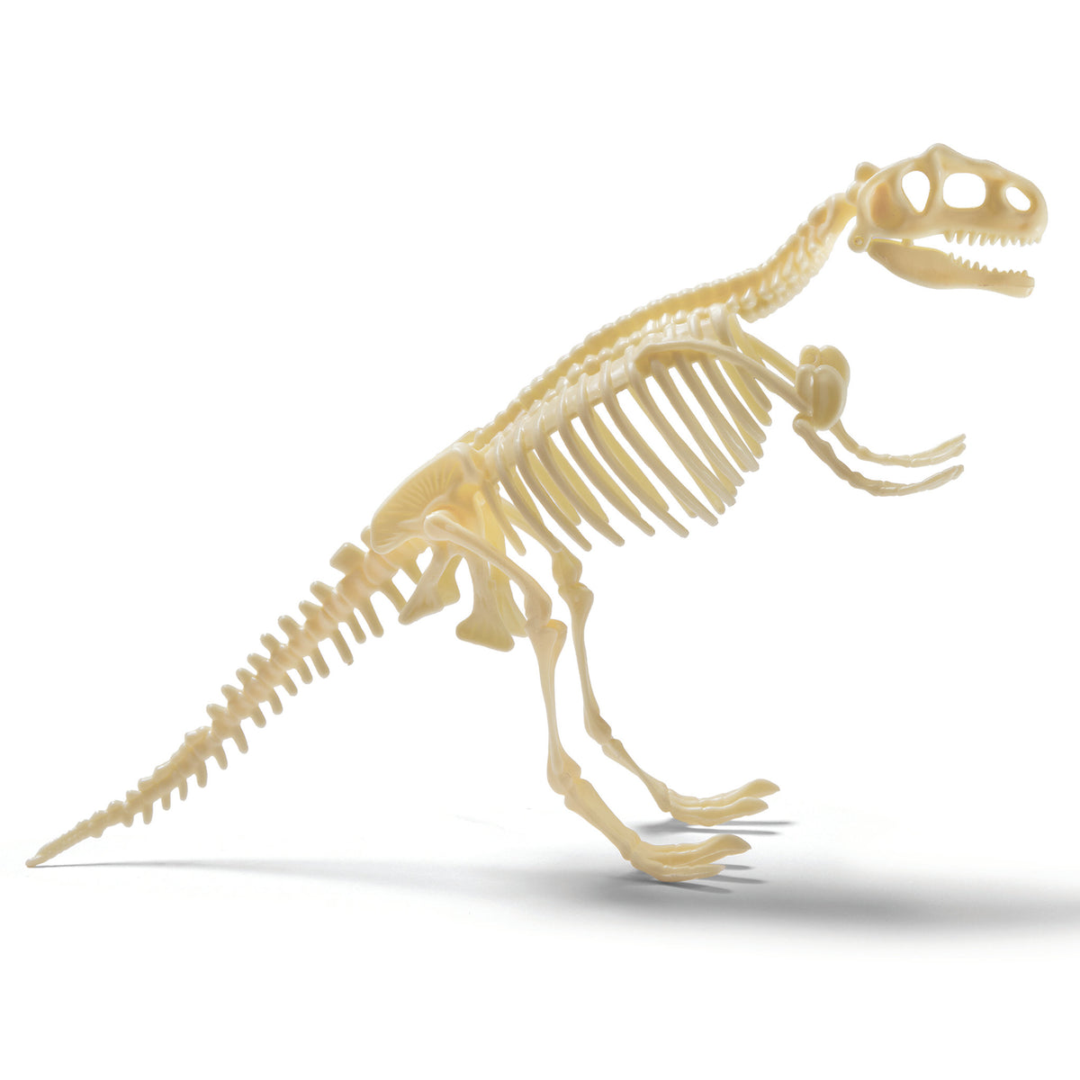 Brainstorm Toys - T-Rex Excavation Kit