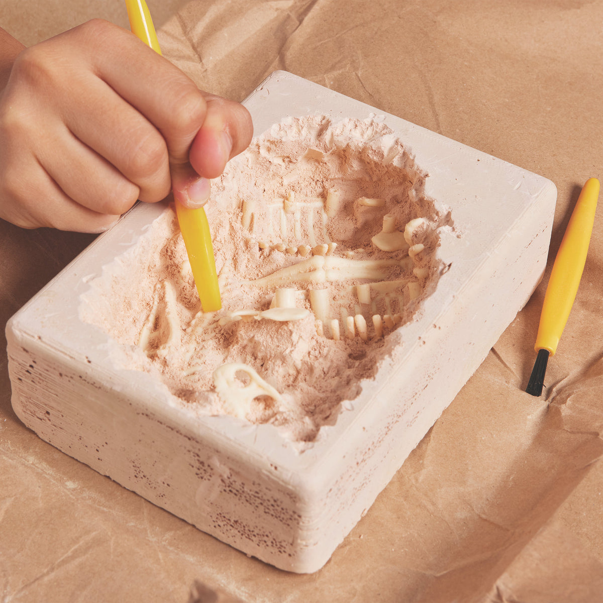 Brainstorm Toys - T-Rex Excavation Kit