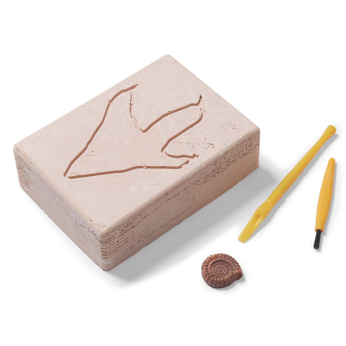 Brainstorm Toys - T-Rex Excavation Kit