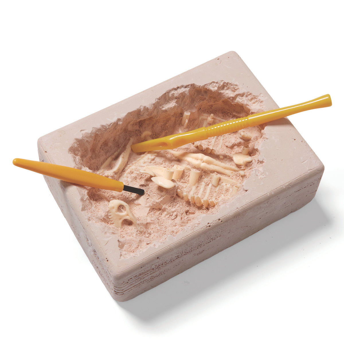 Brainstorm Toys - T-Rex Excavation Kit