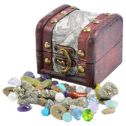 British Fossels Pirate Treasure Chest