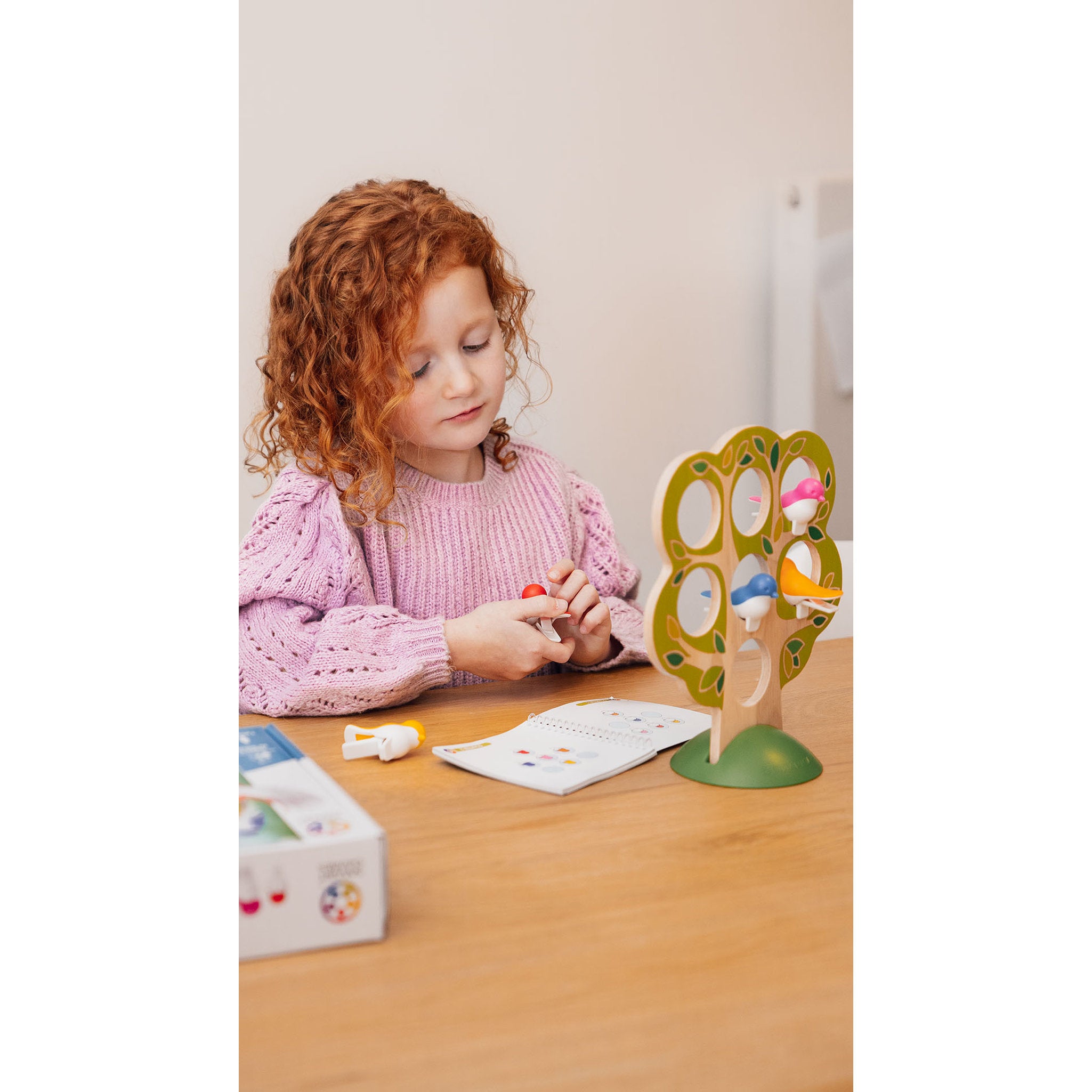 Smart Games 5 Little Birds
