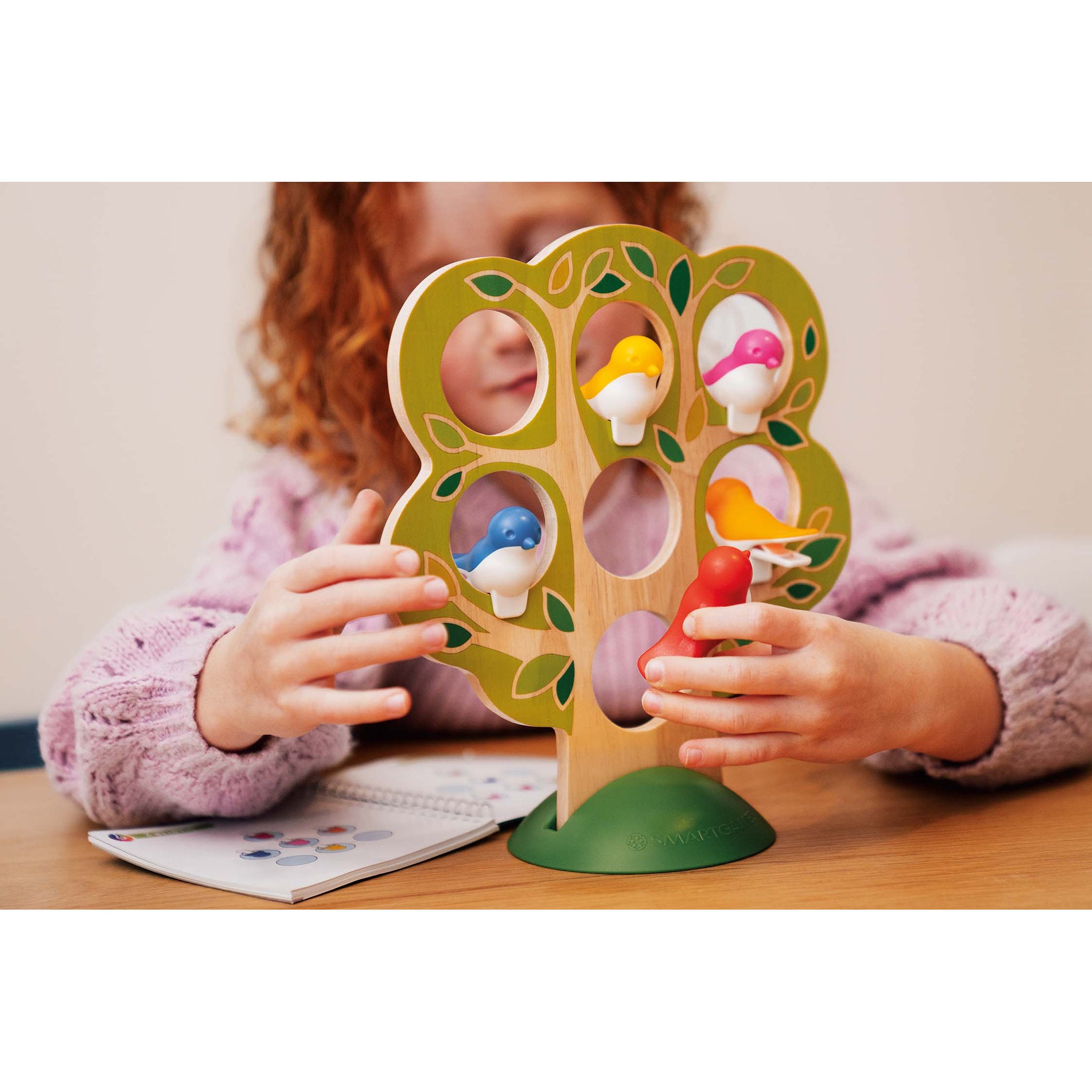 Smart Games 5 Little Birds