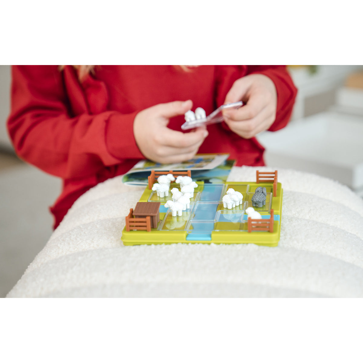 Smart Games Counting Sheep