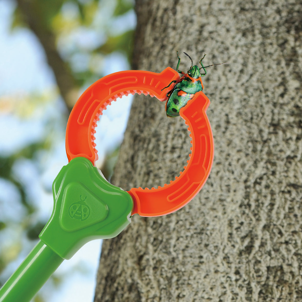 Playgo Toys Ent Ltd Go Wild Exploring Set