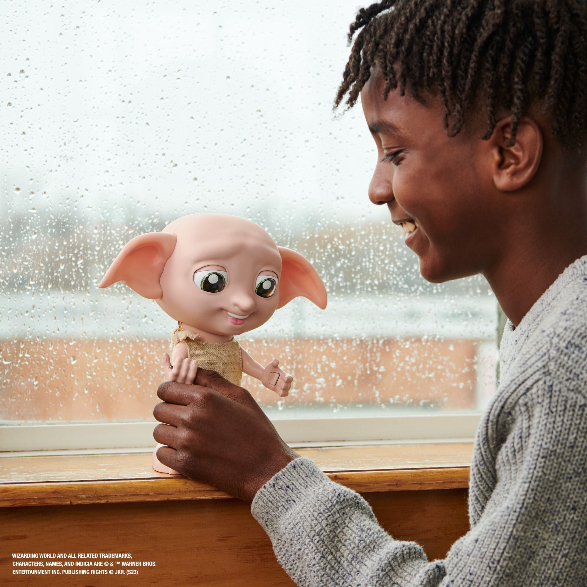 Wizarding World Harry Potter Interactive Dobby – Toyworld Australia