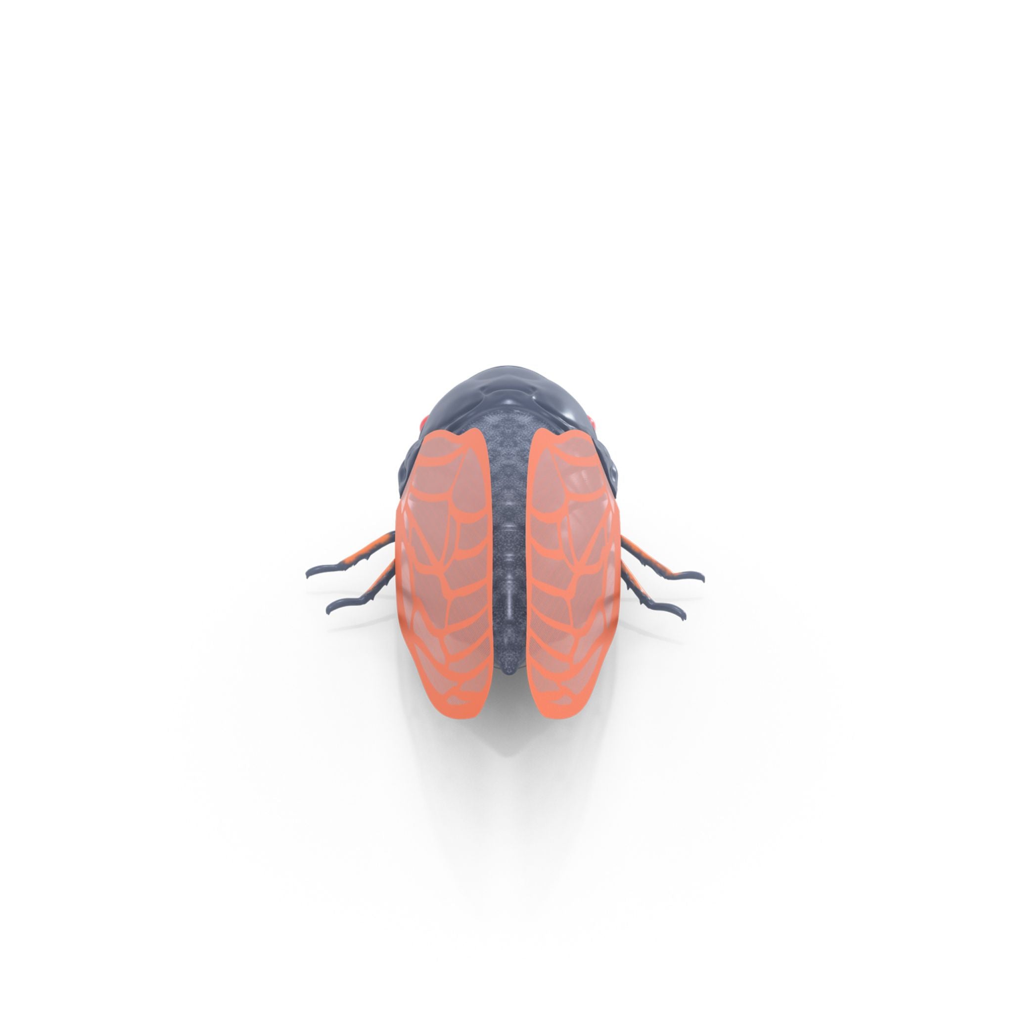 HEXBUG Nano Real Bugs - Cicada