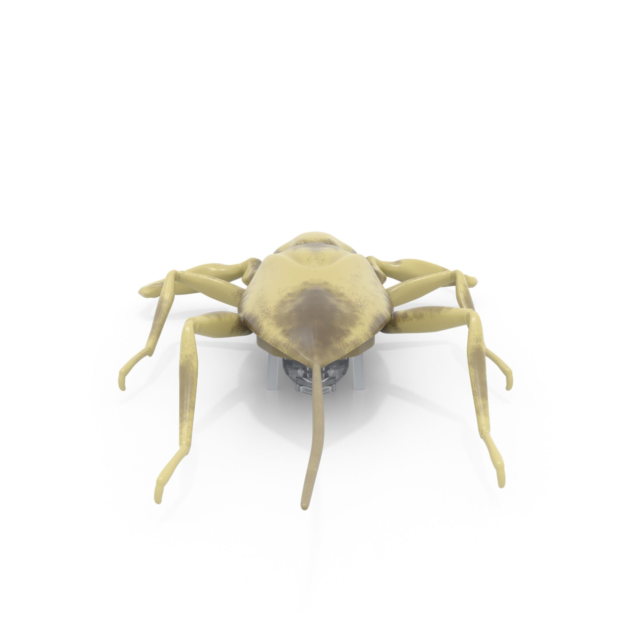 HEXBUG Nano Real Bugs - Water Scorpion