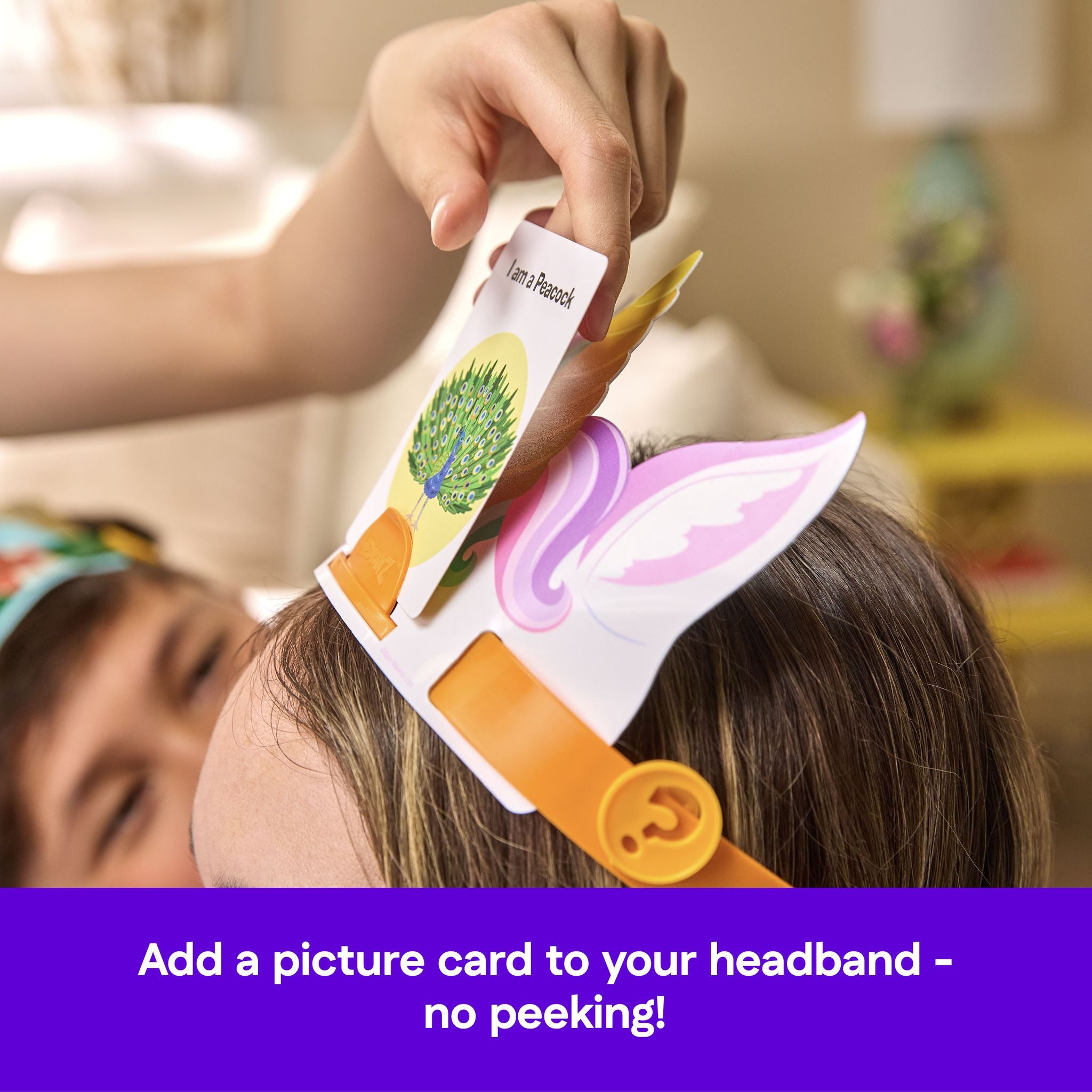 Hedbanz 3rd Edition