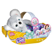 Little Live Pets Cozy Dozy Kip The Koala