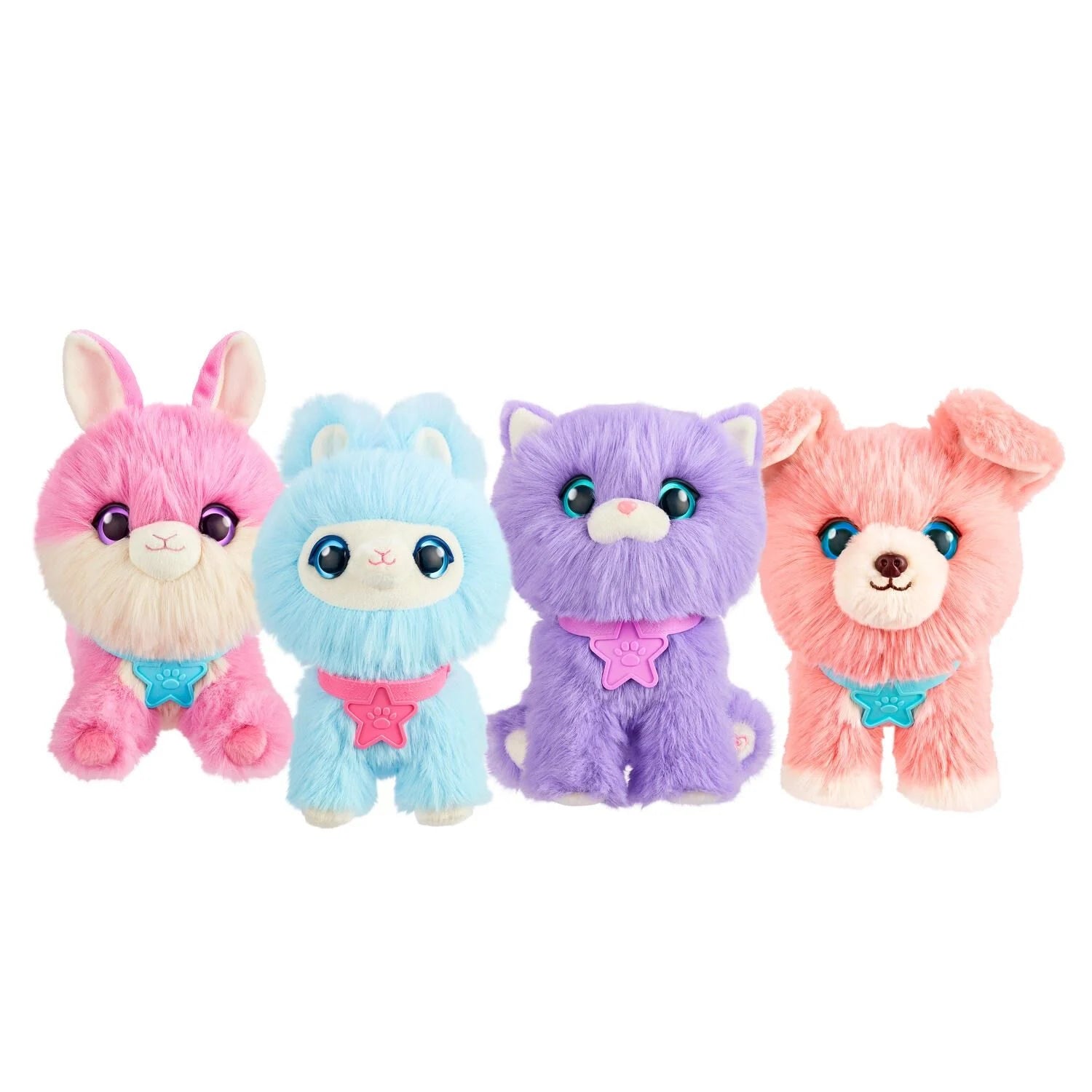 Scruff A Luvs S3 Rainbow Pet Scruffs Assorted Styles