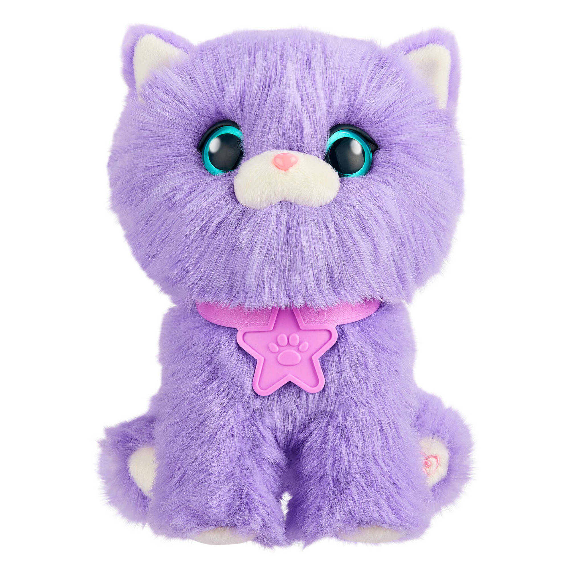 Scruff A Luvs S3 Rainbow Pet Scruffs Assorted Styles