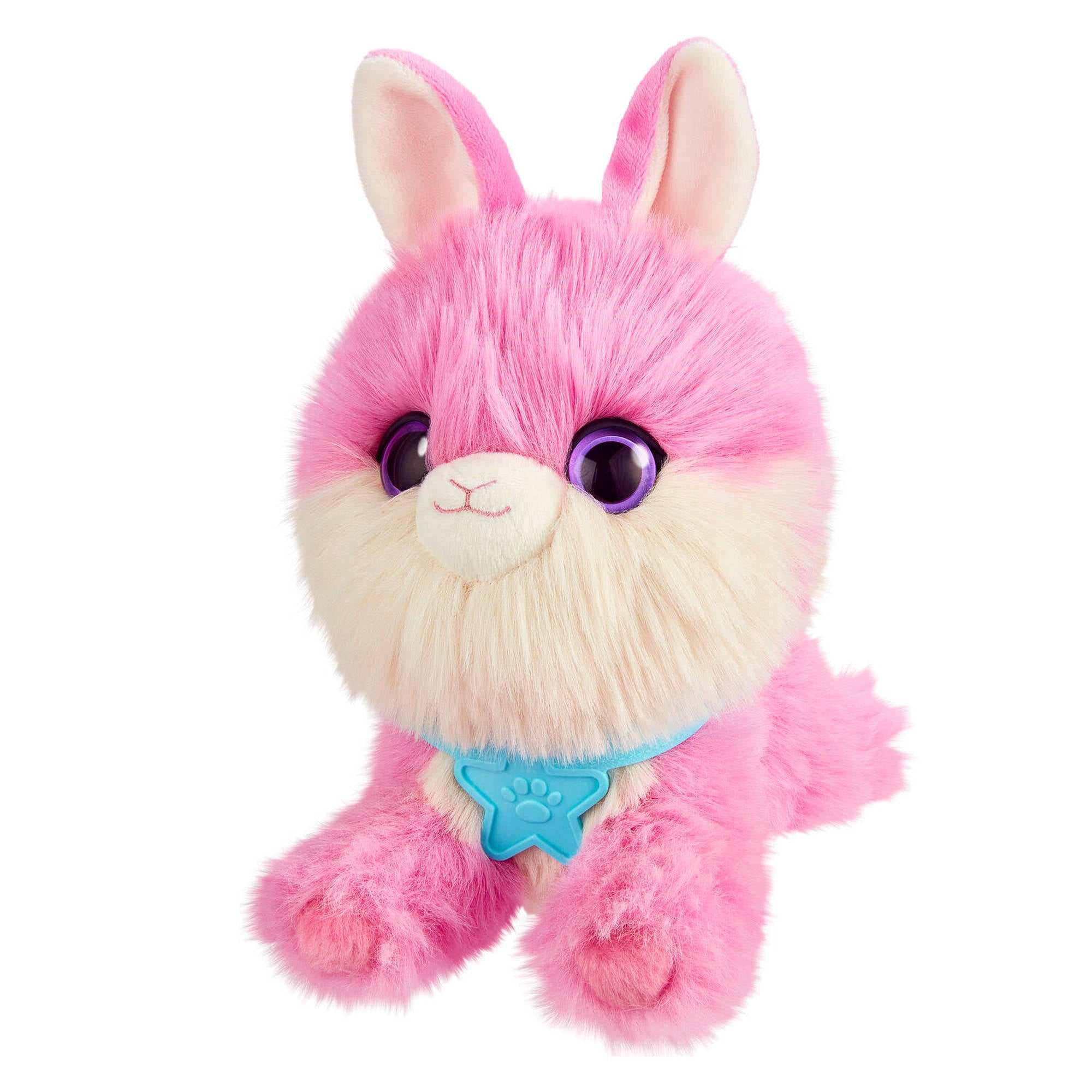 Scruff A Luvs S3 Rainbow Pet Scruffs Assorted Styles