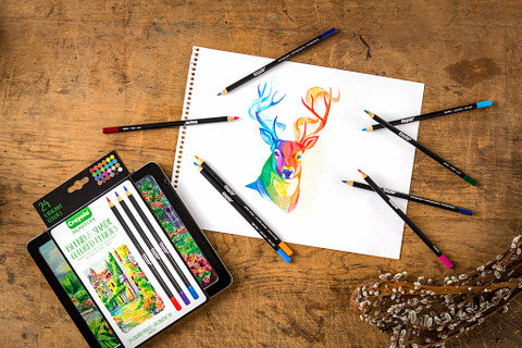 Crayola Signature Blend & Shade Colour Pencils 24 Pencils - Toyworld Australia
