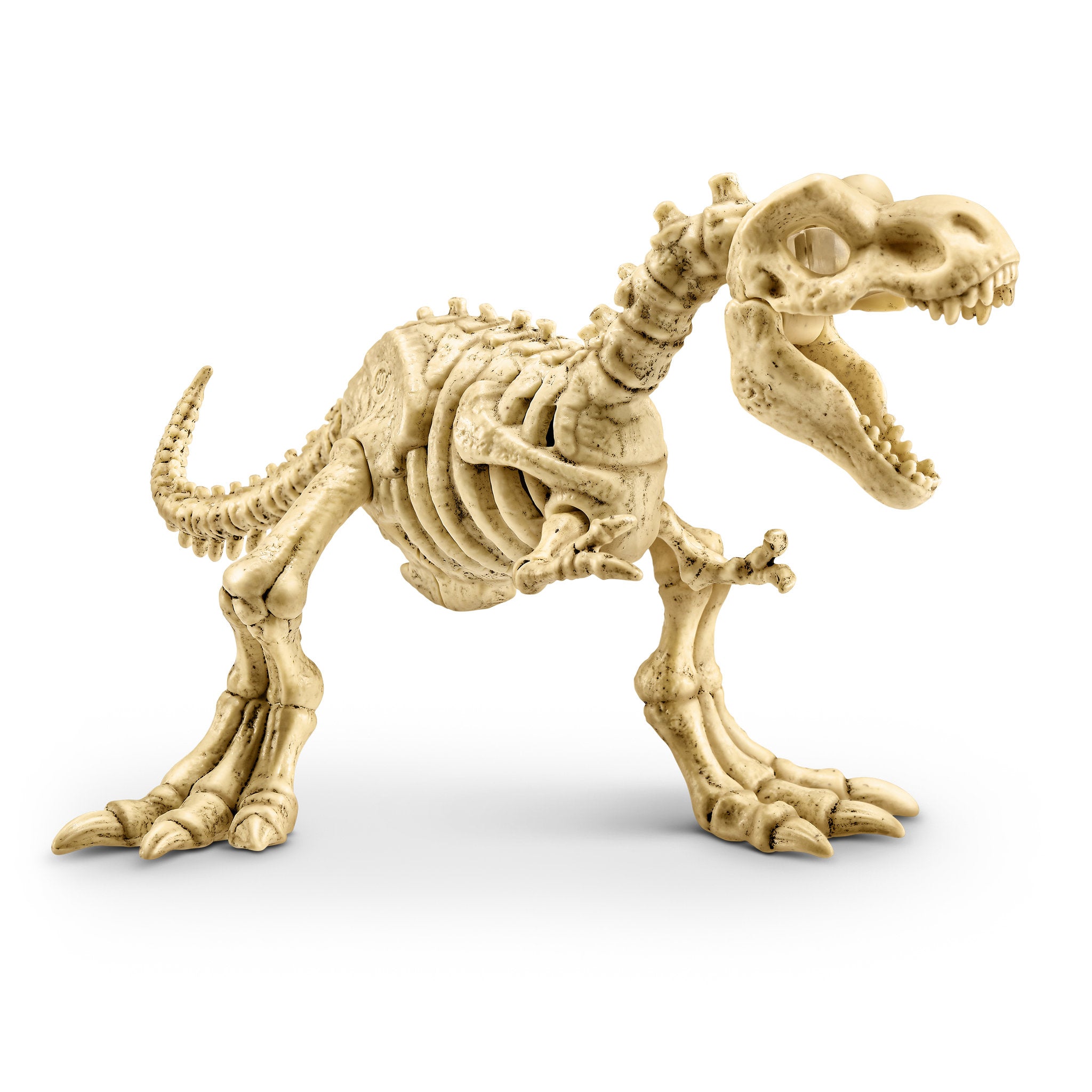 ZURU Robo Alive Light-Up Dino Fossil Amber Adventure - Toyworld Australia