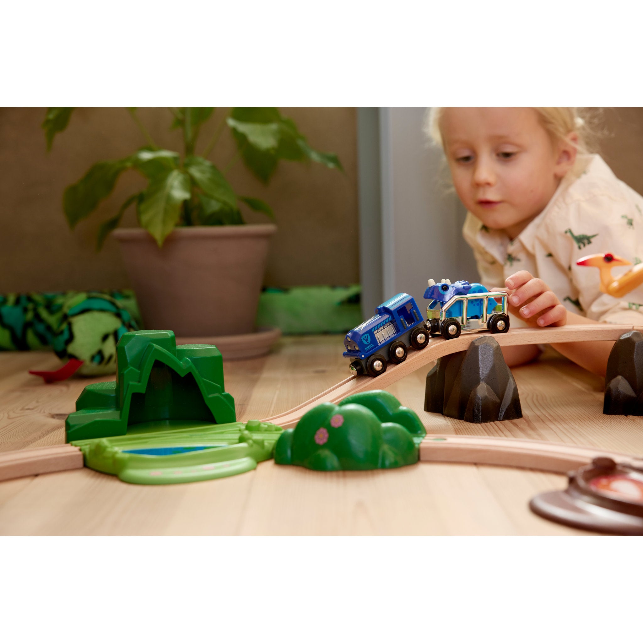 BRIO World Special Edition Train