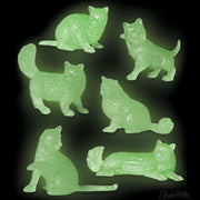 Glow Cats Assorted Style
