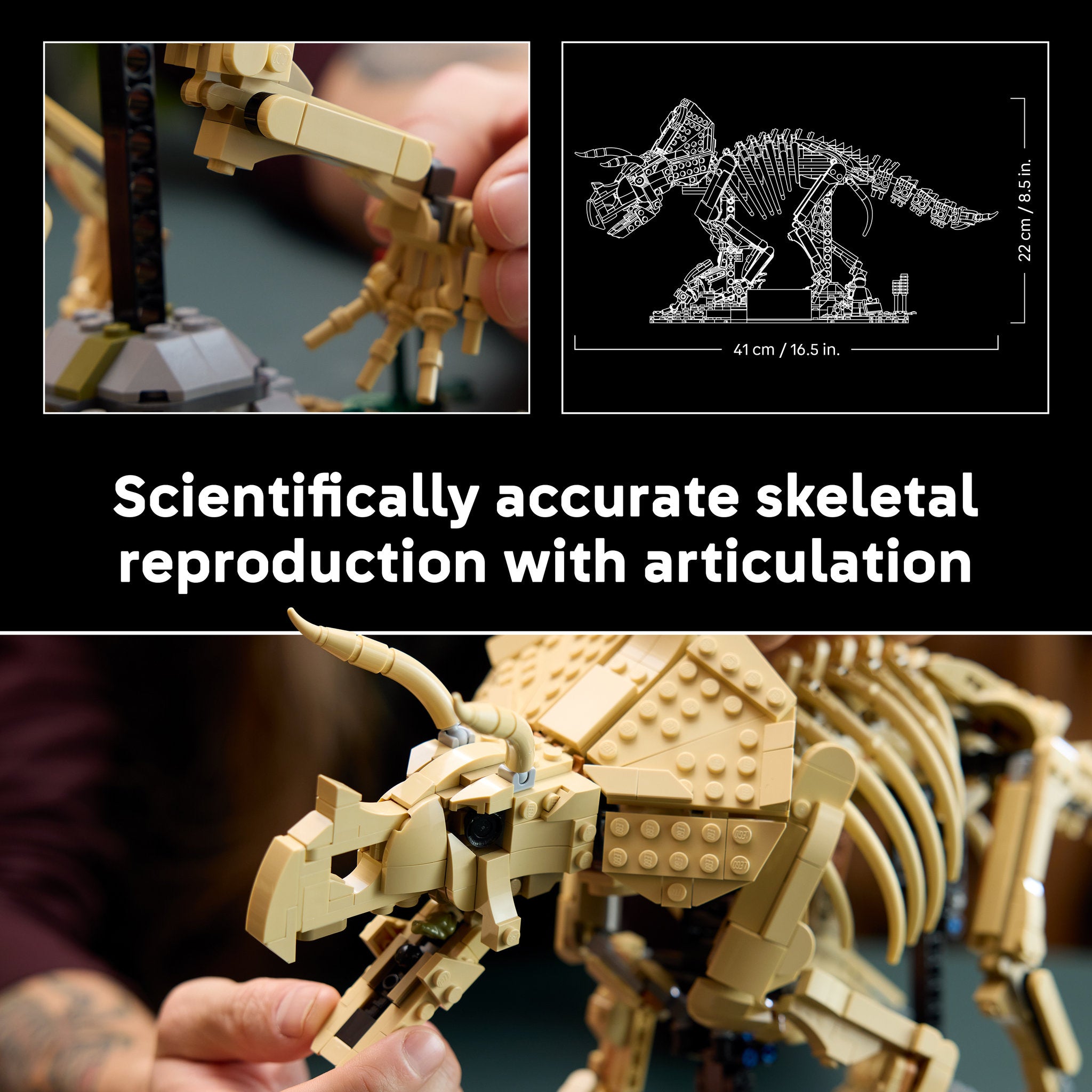 LEGO 77985 Jurassic World Dinosaur Fossils: Triceratops