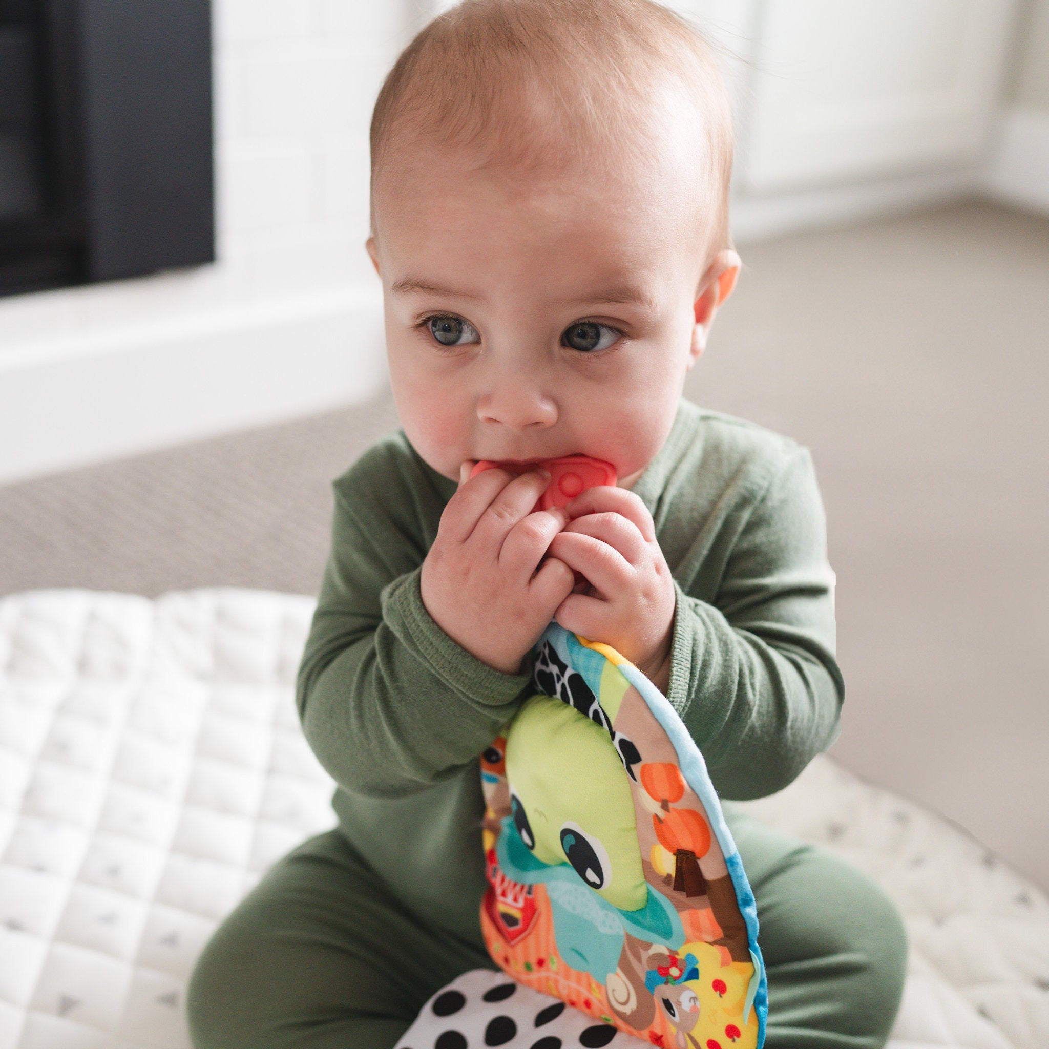 Lamaze Finlee Frog Look Book