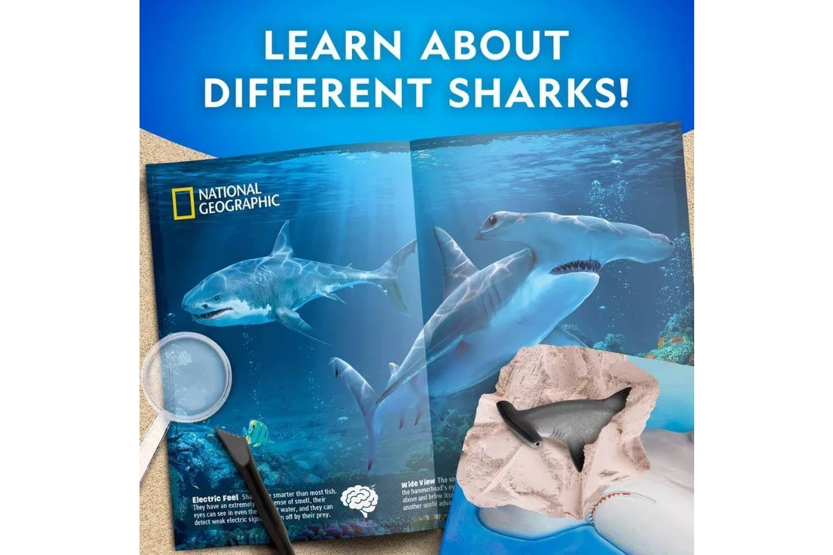 National Geographic Shark Tooth Dig Kit