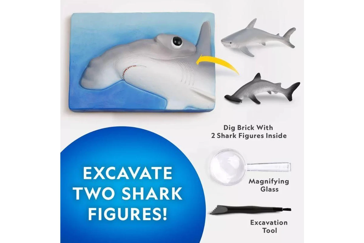 National Geographic Shark Tooth Dig Kit