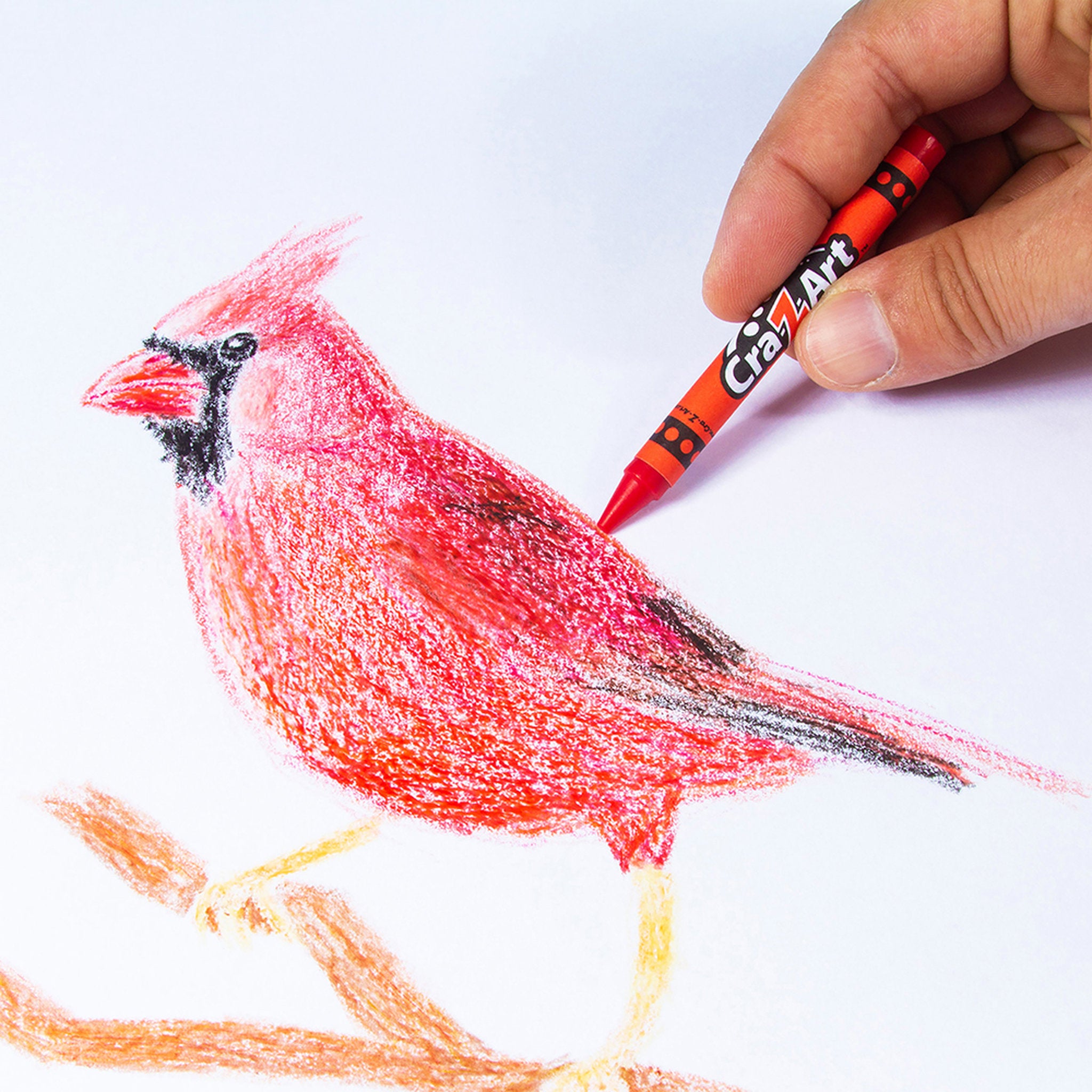 Cra-Z-Art Crayons 24 Pack