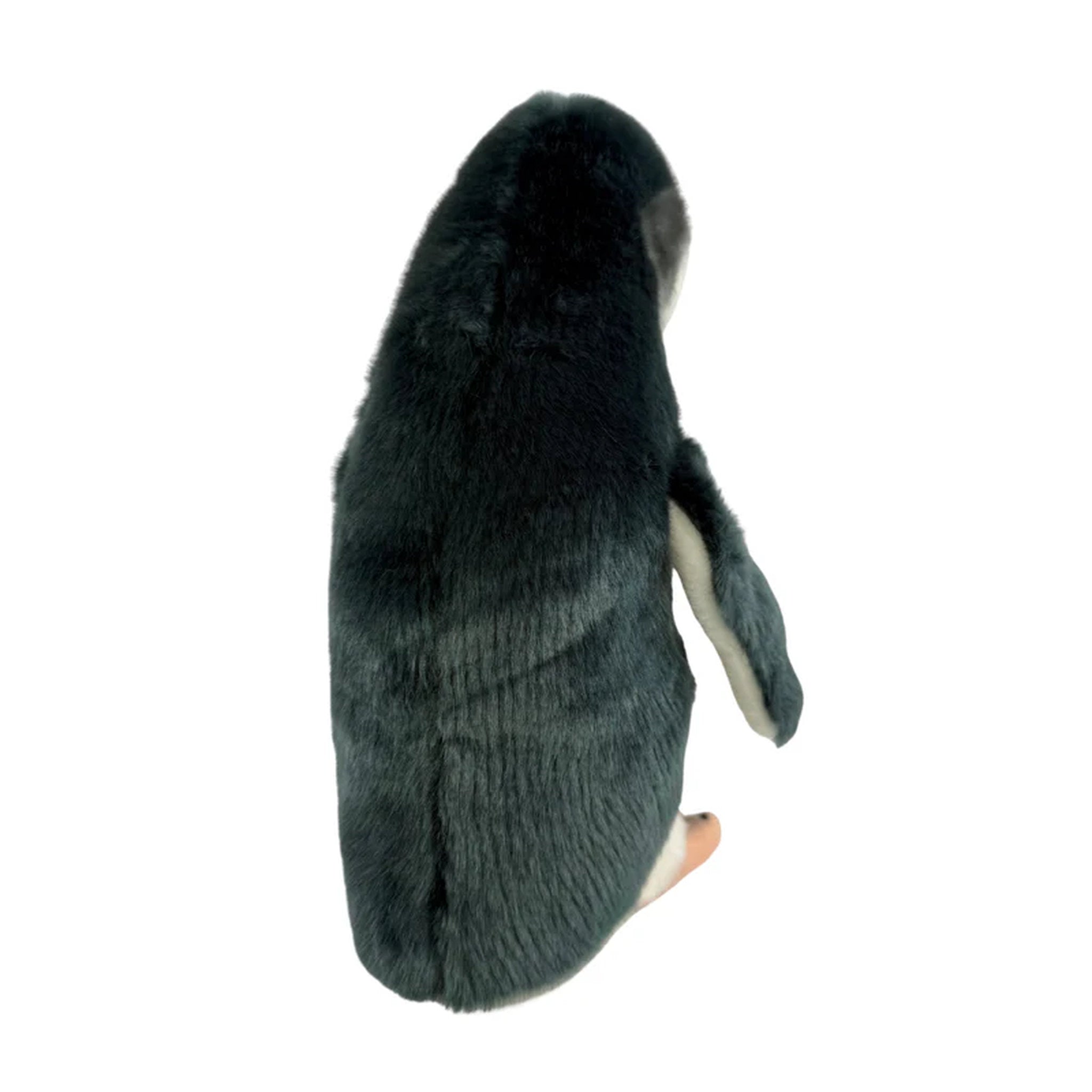 Bocchetta Plush Toys - Fairy Penguin 27cm Mumble