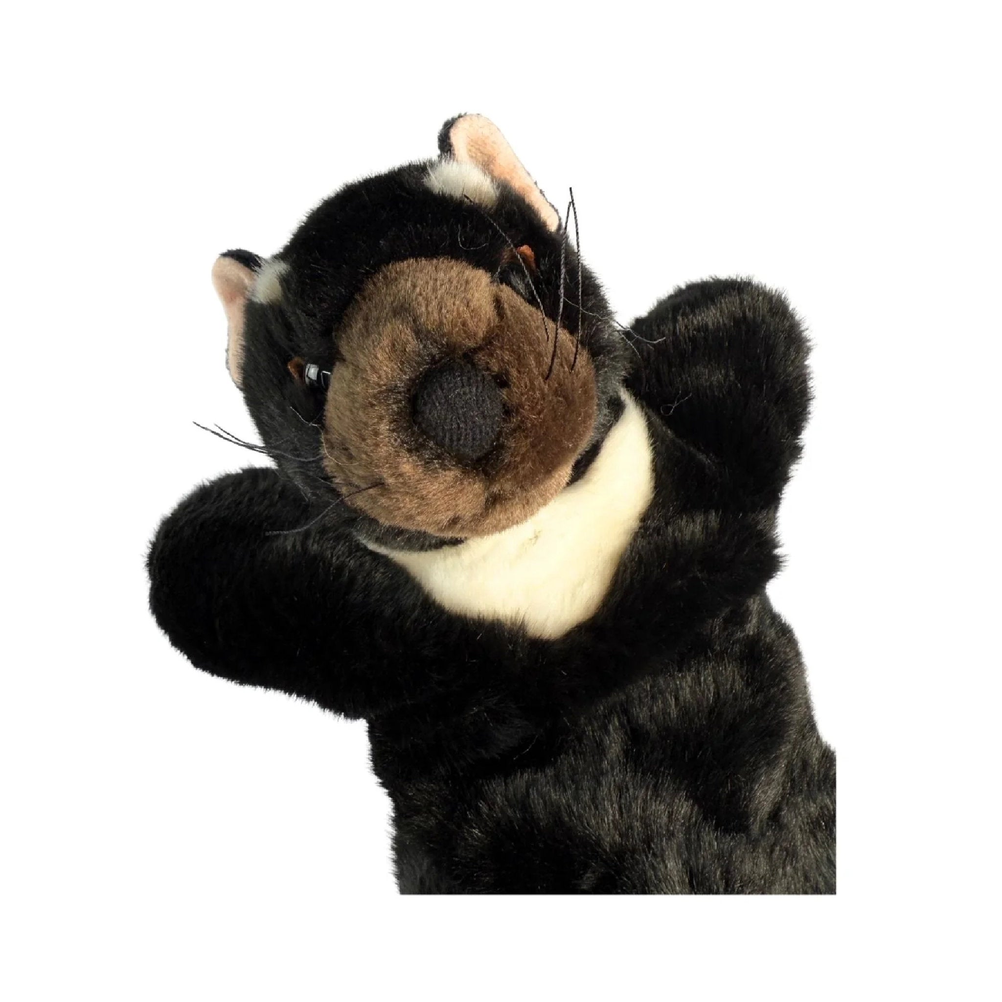 Bocchetta Plush Toys Tasmanian Devil Hand Puppet 24cm - Tiggy