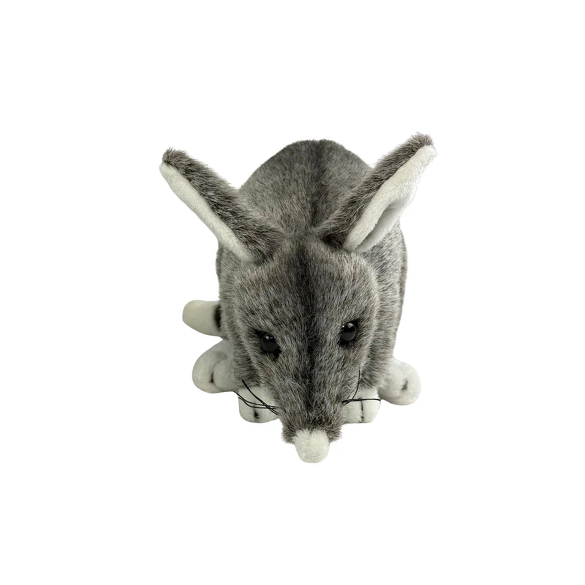 Bocchetta Plush Toys - Bilby 20cm Belinda
