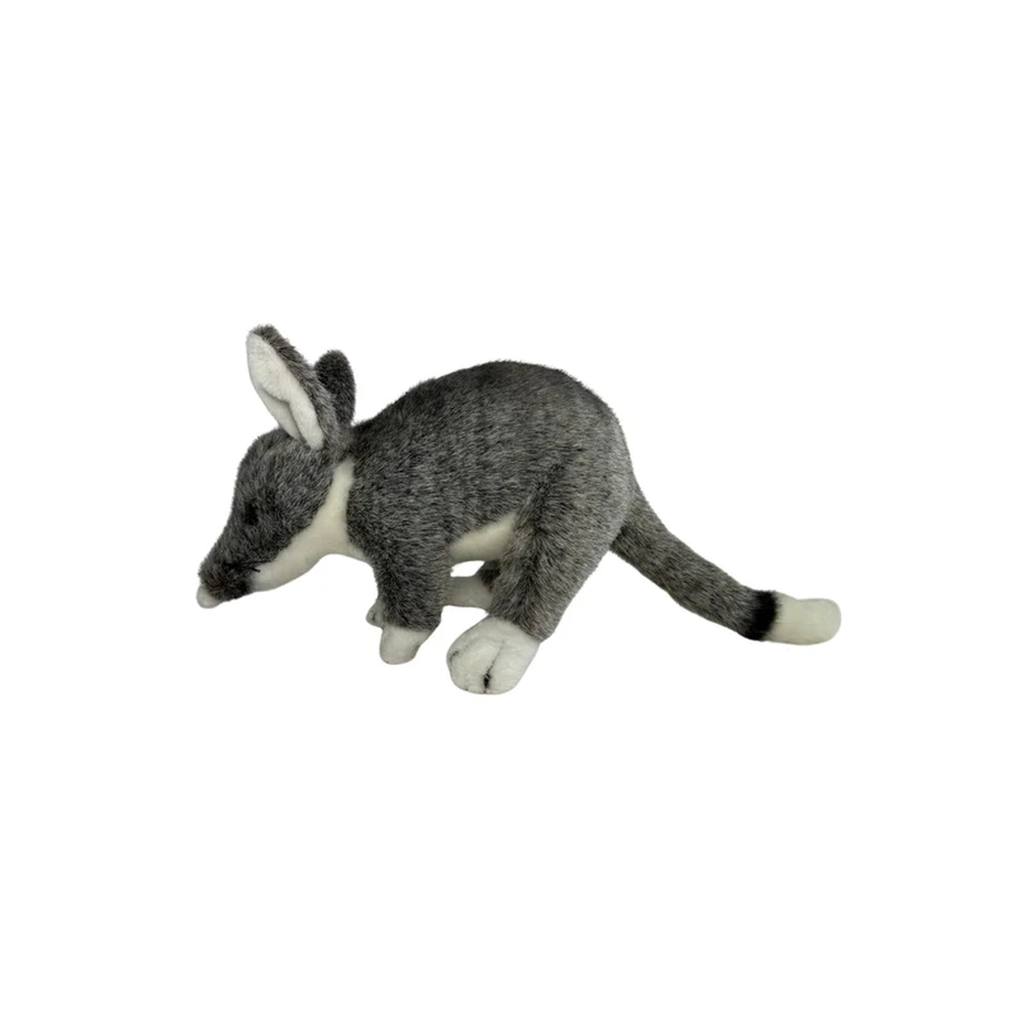 Bocchetta Plush Toys - Bilby 20cm Belinda