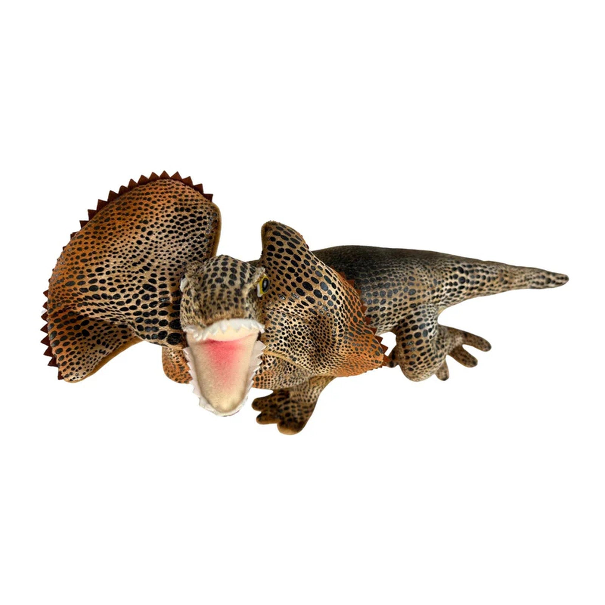 Bocchetta Plush Toys - Frilled Neck Lizard 34cm Philly
