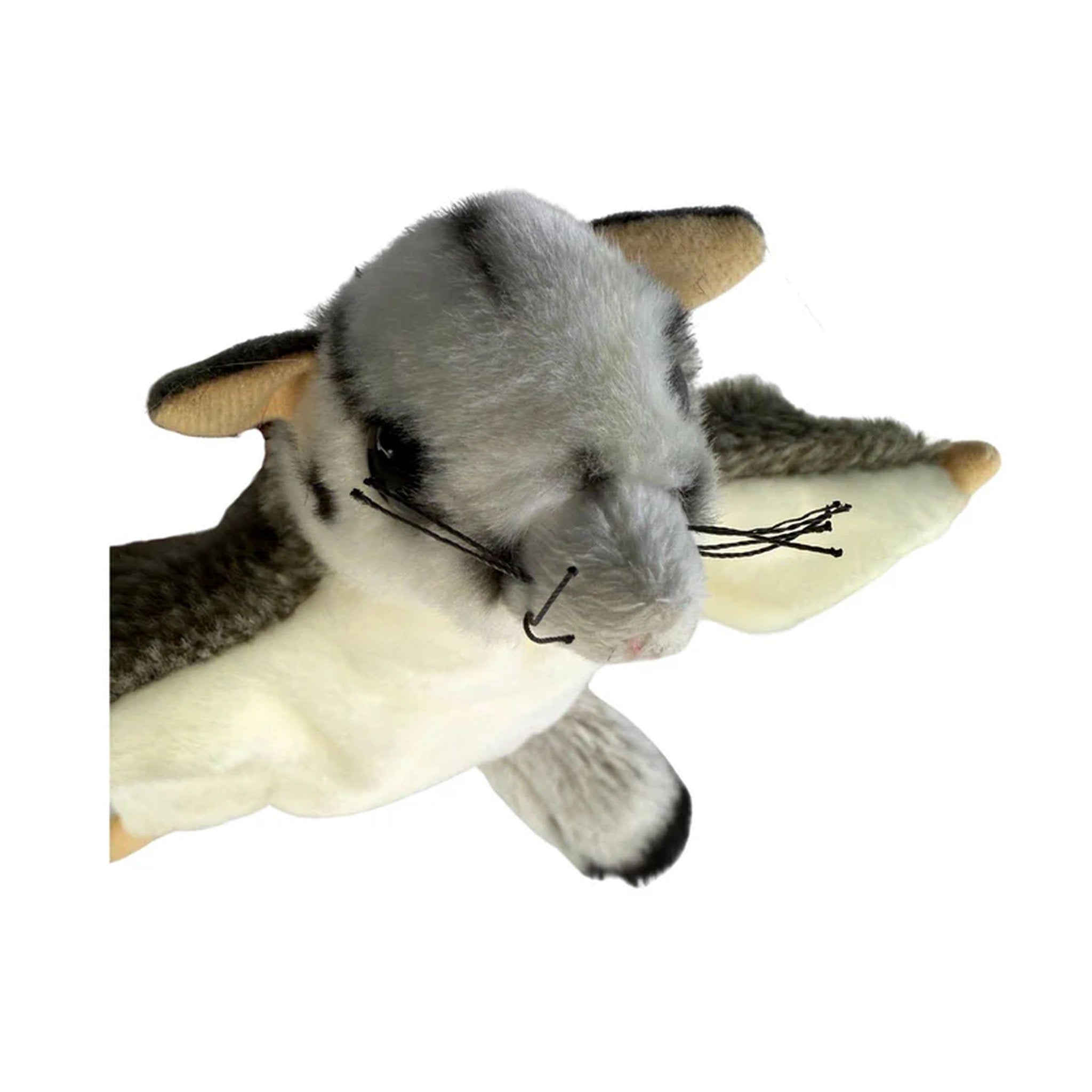 Bocchetta Plush Toys - Australian Squirrel Glider 18cm Frisbee