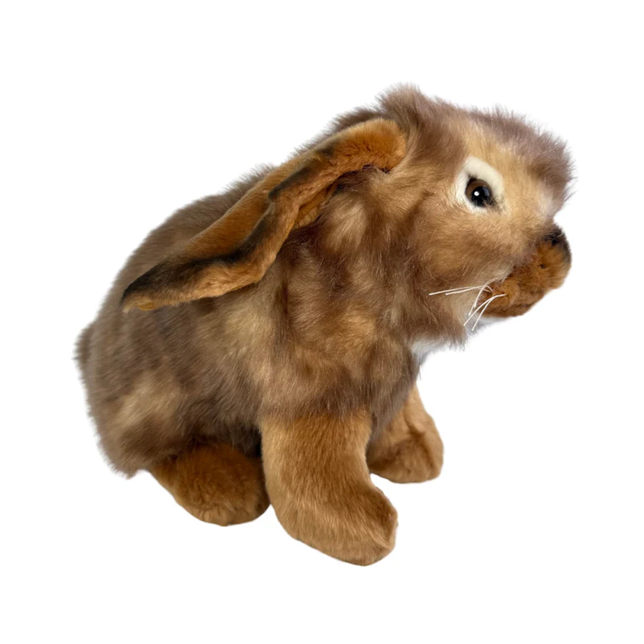 Bocchetta Plush Toys - Lop Eared Rabbit 25cm Cinnamon