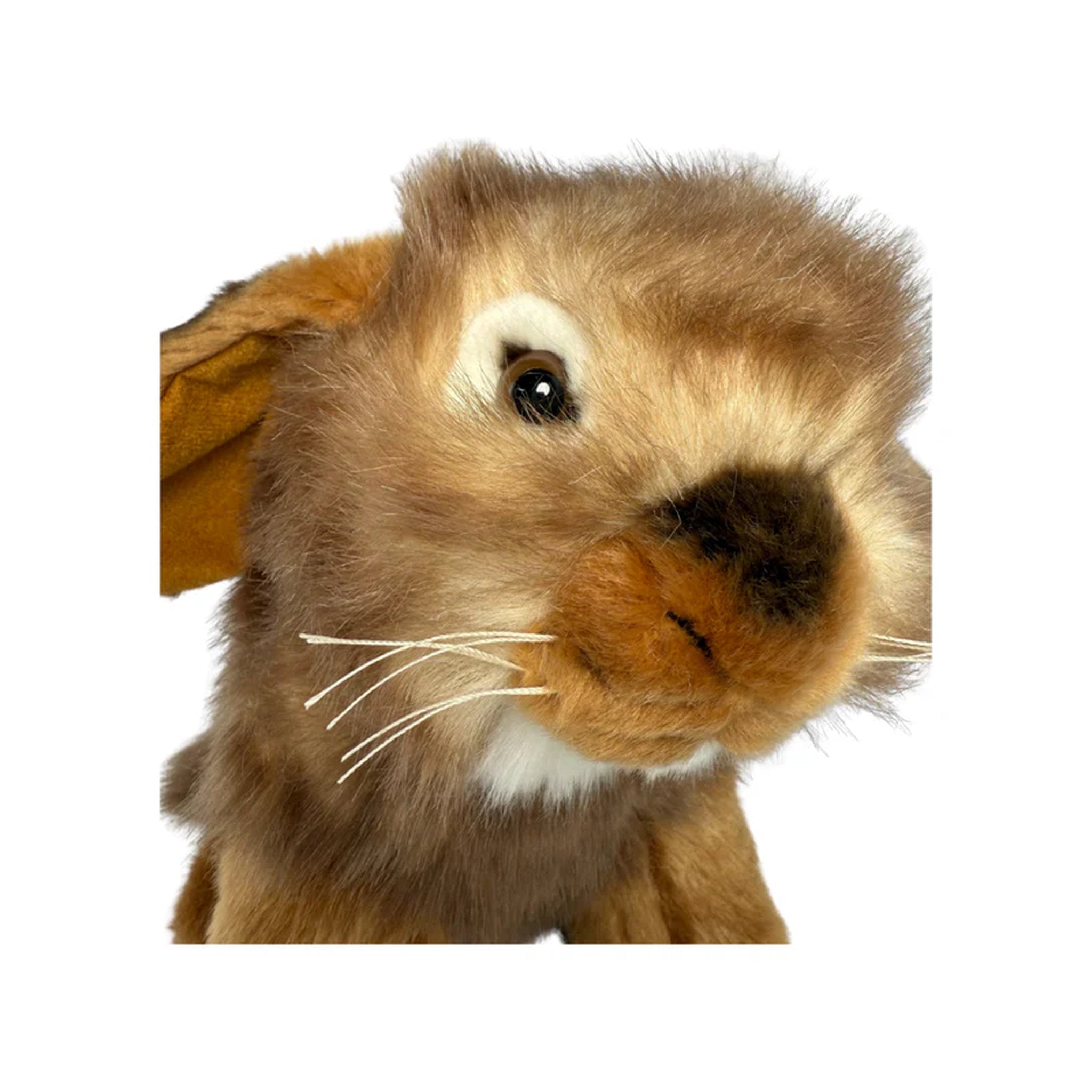 Bocchetta Plush Toys - Lop Eared Rabbit 25cm Cinnamon