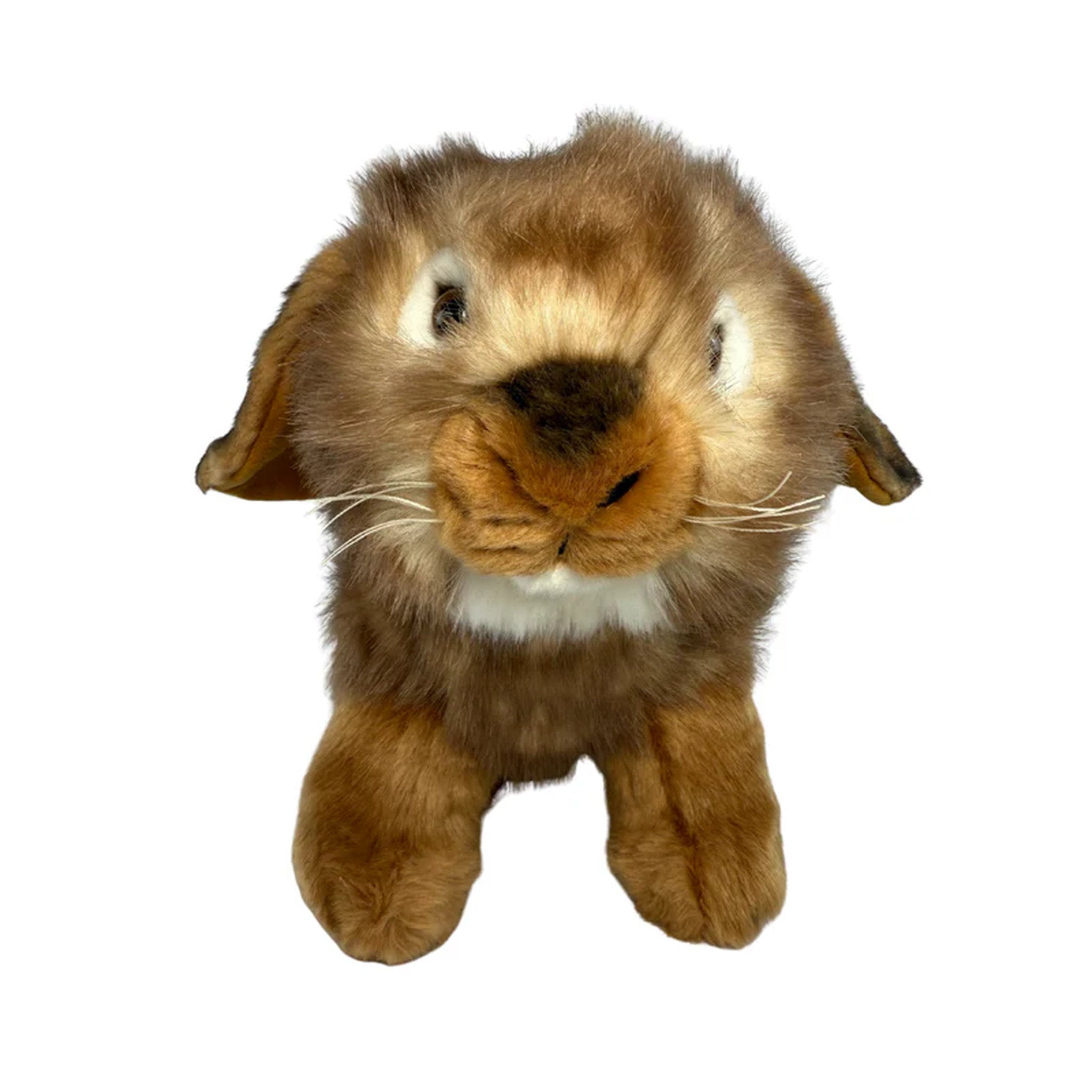 Bocchetta Plush Toys - Lop Eared Rabbit 25cm Cinnamon
