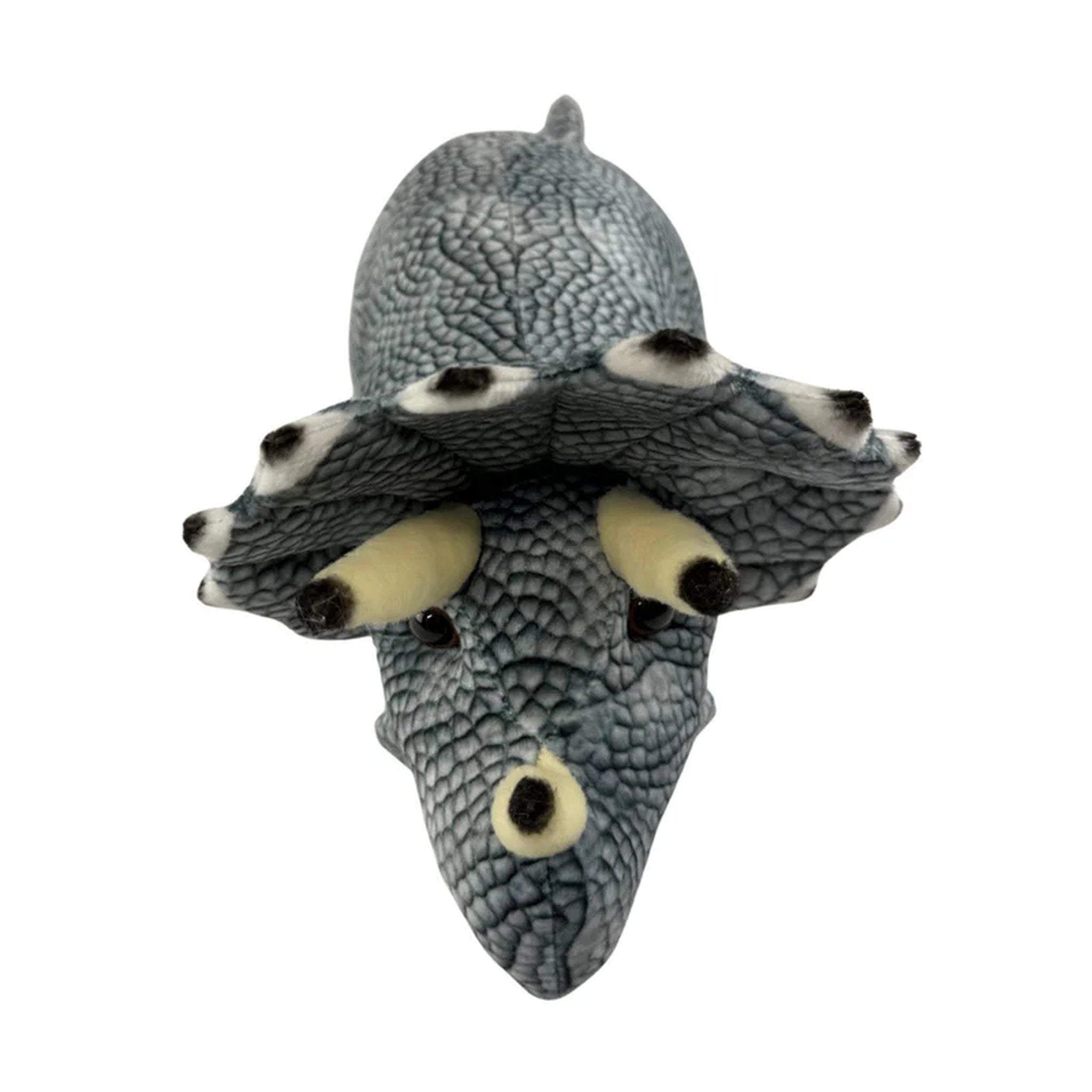 Bocchetta Plush Toys - Triceratops Dinosaur 33cm Crestor